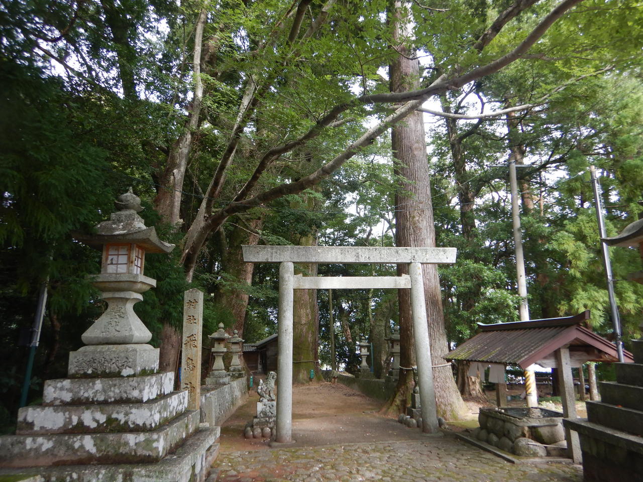 򒹐_ЁB{̐nxXg100IɂĂAmlmp[X|bgłBՊCynŐ؂̃GlM[󂯎ĂB