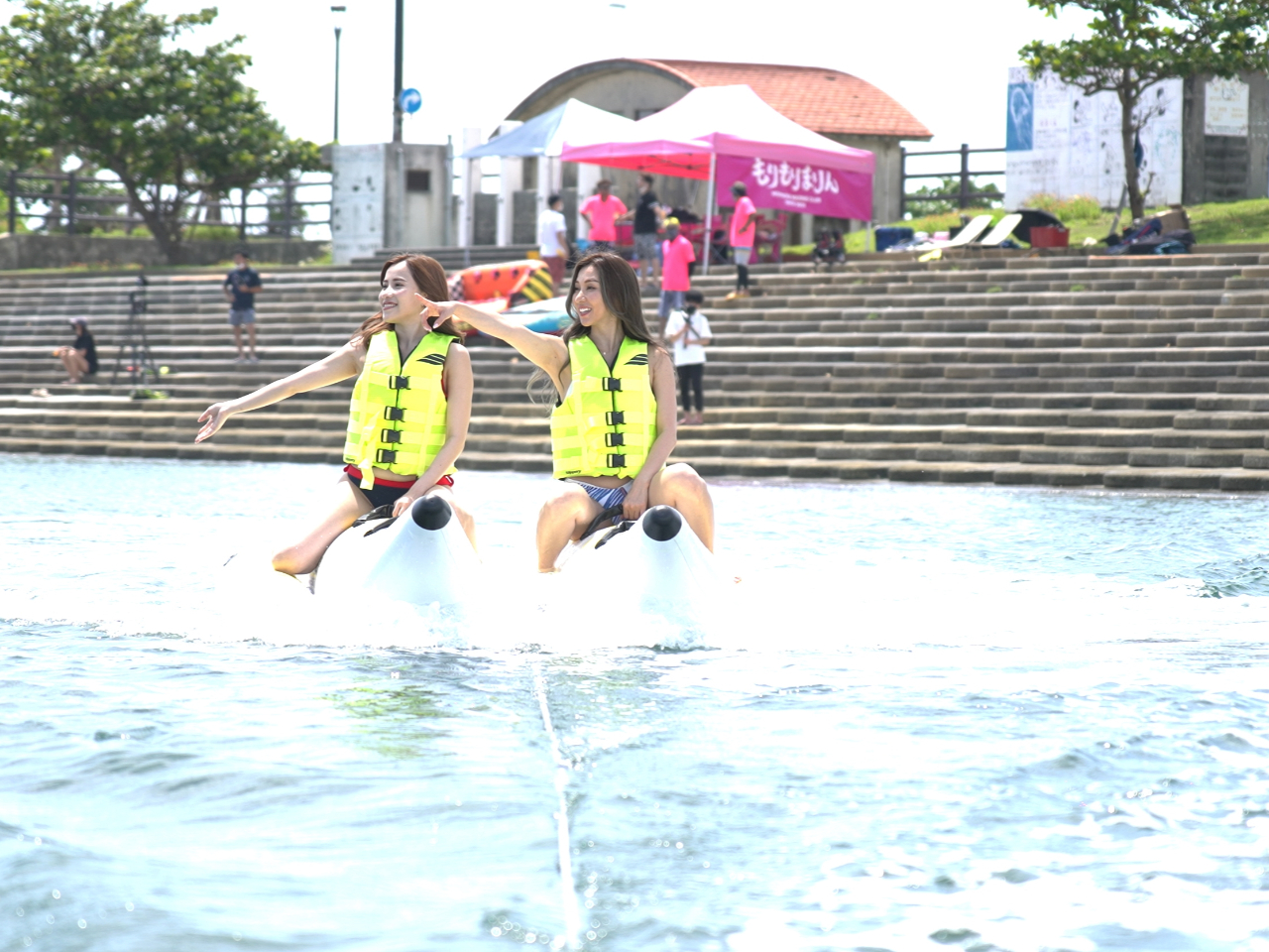 }q􏗐ɐlC̃v𑽐pӁI