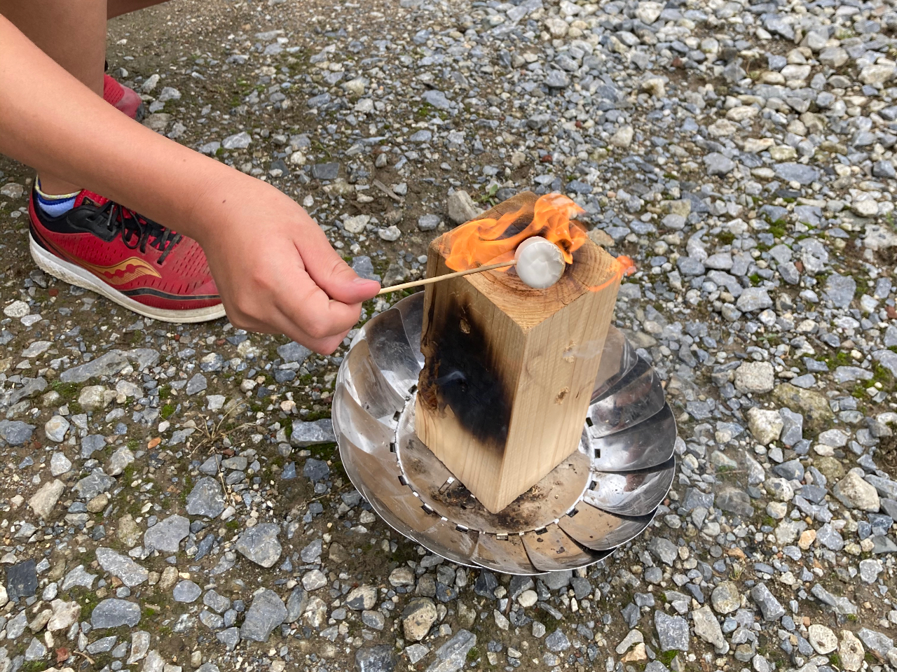 NN񂵂ĉ΂ɋ߂ÂAłAXɒĊy݂ȂwKł܂B