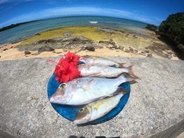 フィッシングツアーで釣った魚を食べることも可能です!
