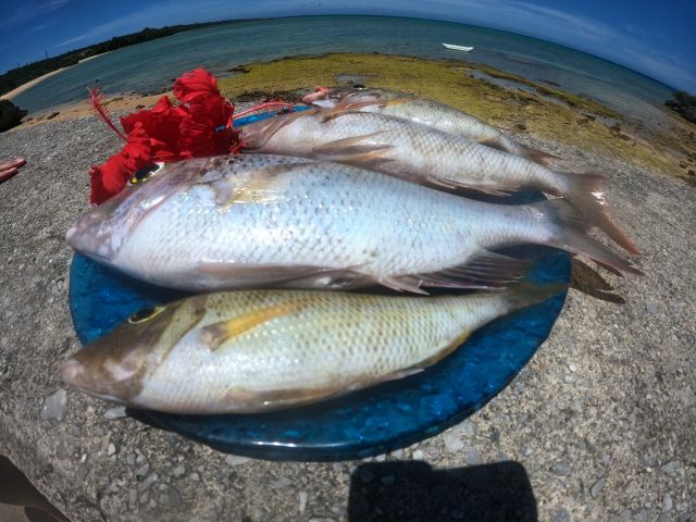 釣った魚はお持ち帰り頂くかオプションでBBQなどを楽しむことが可能です!