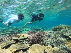 水納島でシュノーケル