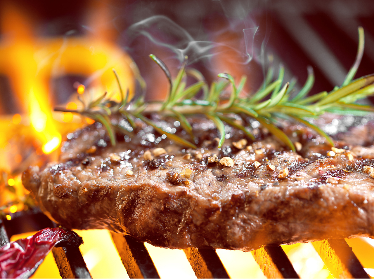 グリル料理イメージ