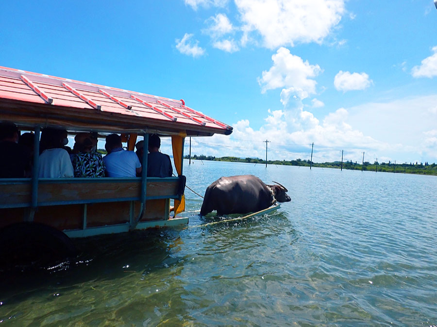 Ԃł͗Rz̗j⍡̘̐b𕷂Ƃł܂Ỏt邱Ƃ܂`