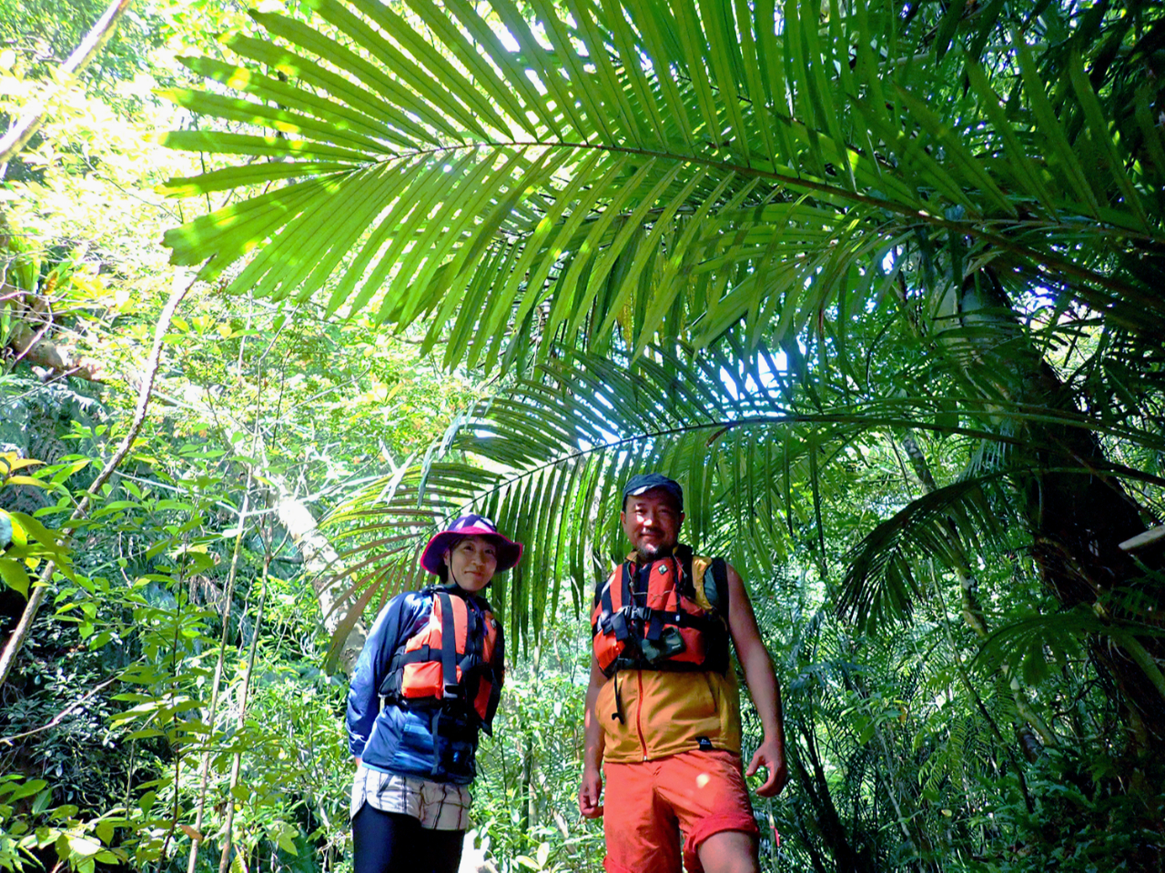 WOł͑傫ȗtς􏋂a炰Ă܂