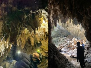 大迫力の鍾乳石