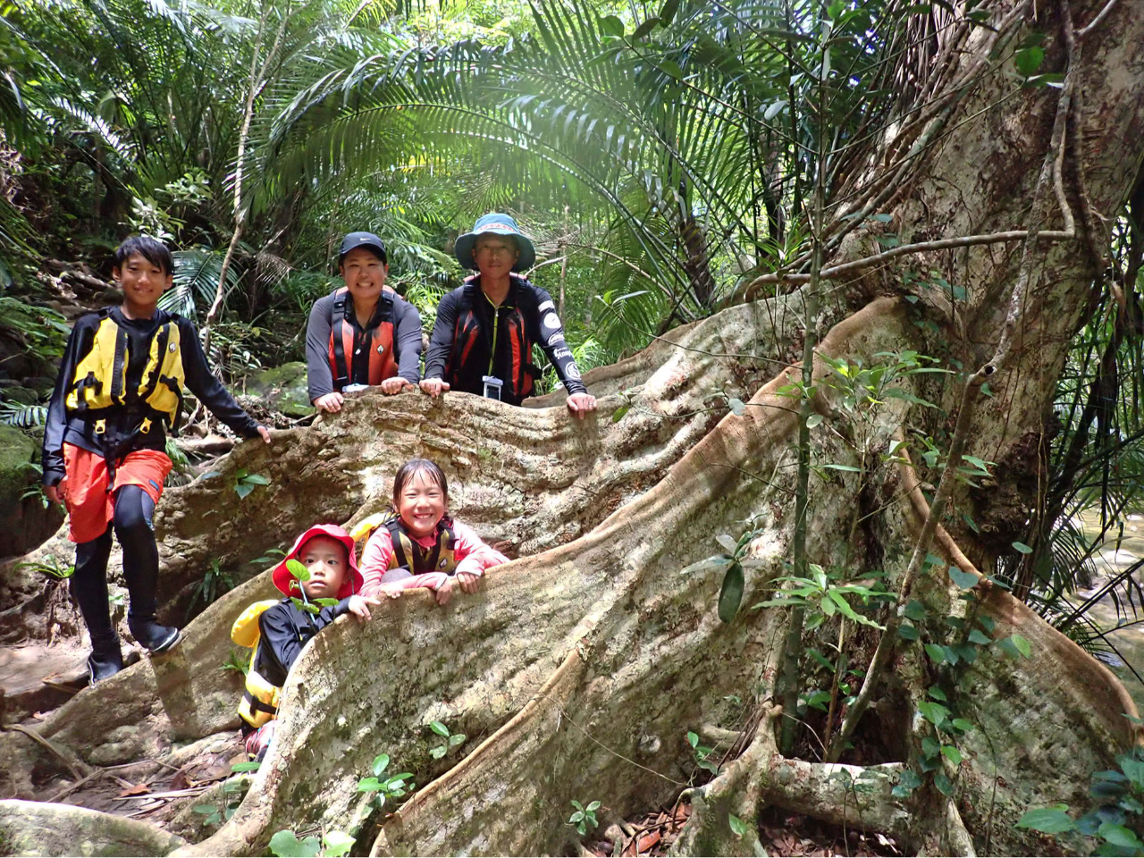 qiCł̃gbLOł̓TLV}XIEmL̔󍪂݂