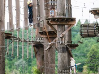ドックラン付きなので空中散歩をする姿を見てワンちゃんも大興奮!