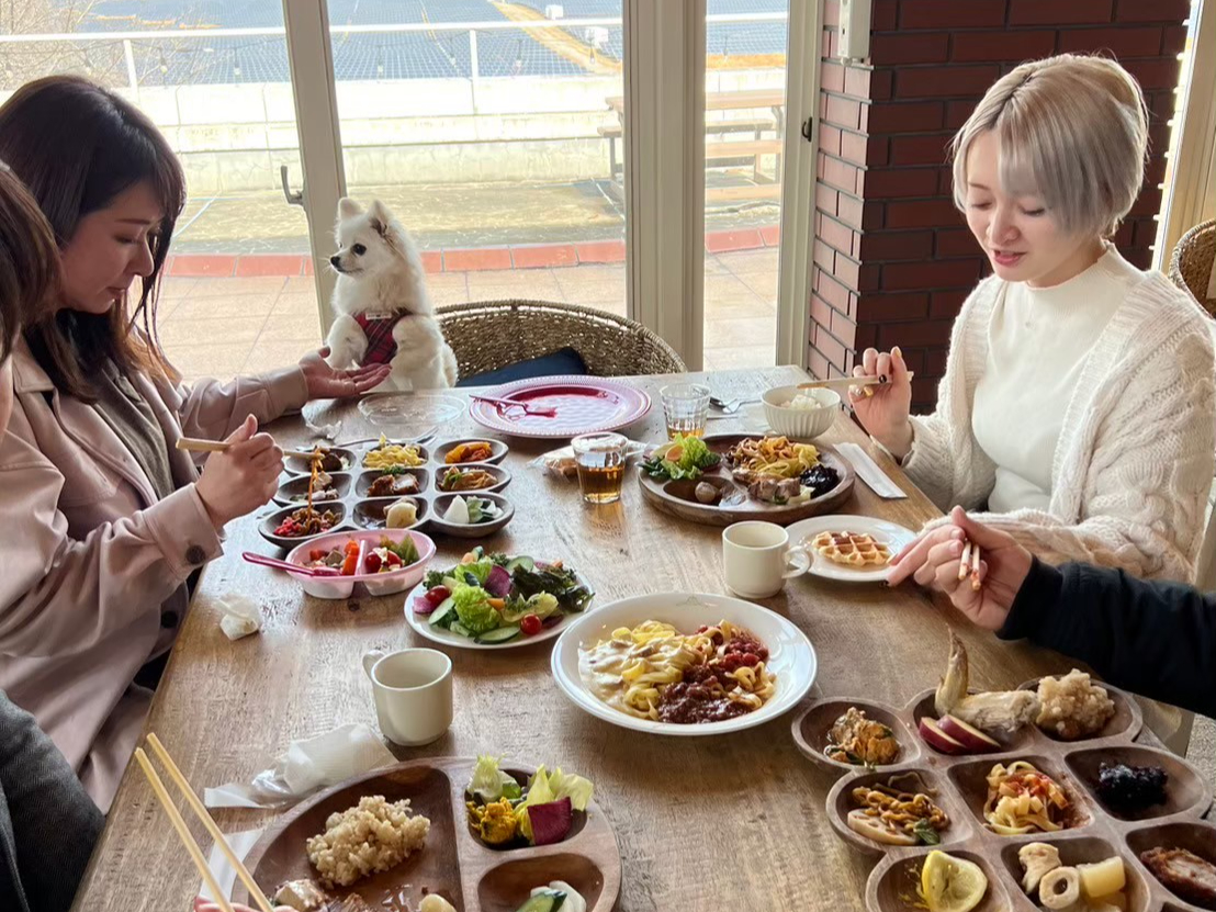 2026年】ランチビュッフェ利用券付プラン！○空中アスレチックで空中