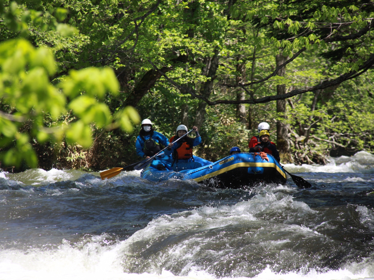 深い緑の森の中を川下りしていきます。