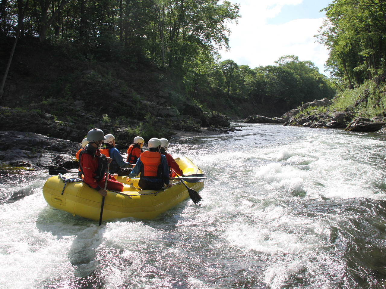 手付かずの自然が残る森と美しい清流の川