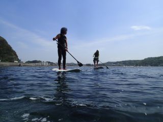 青い海に漕ぎ出そう!逗子の絶景をSUPで満喫!