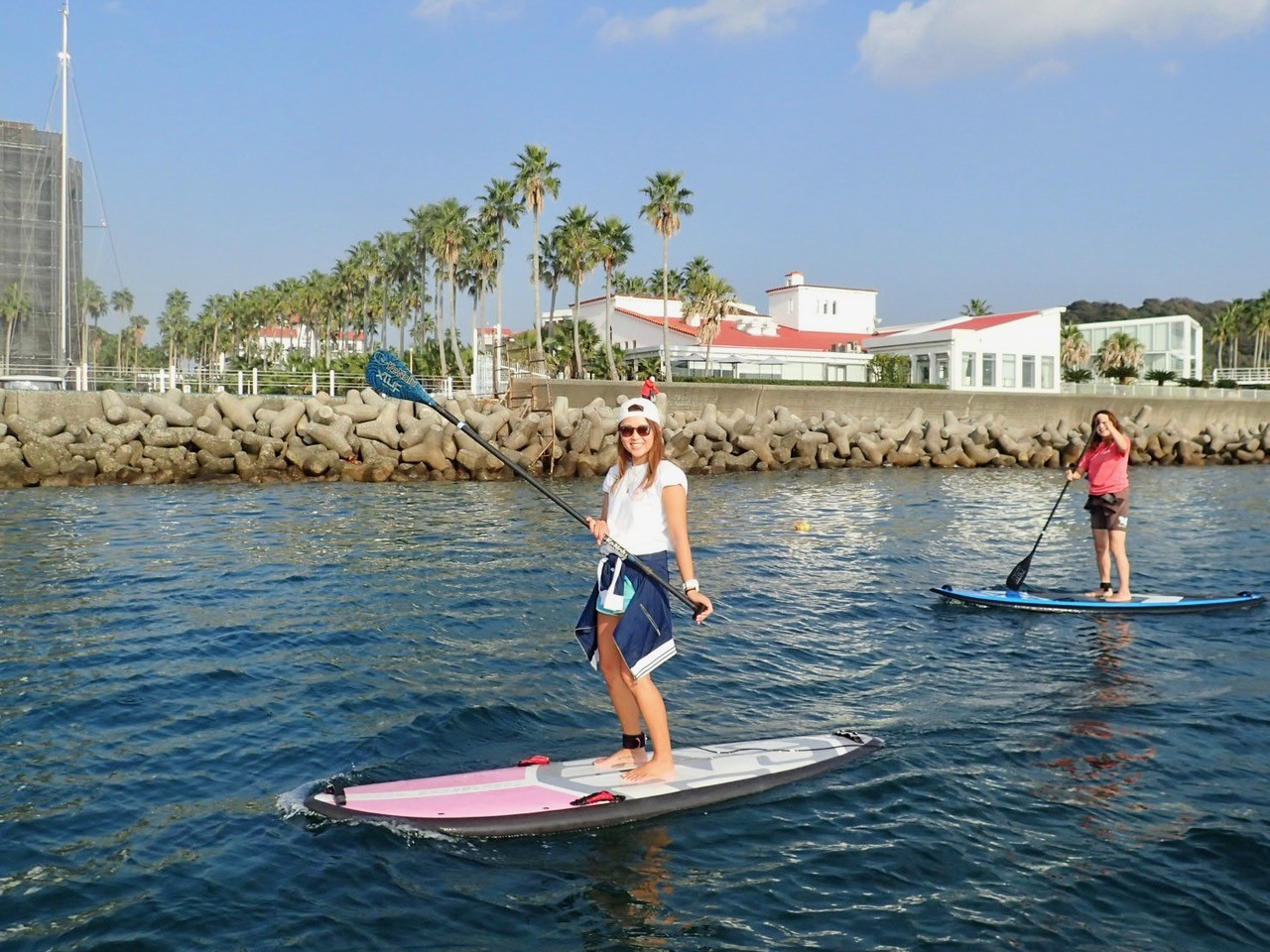 ߂ĂłSICXgN^[JɃT|[g