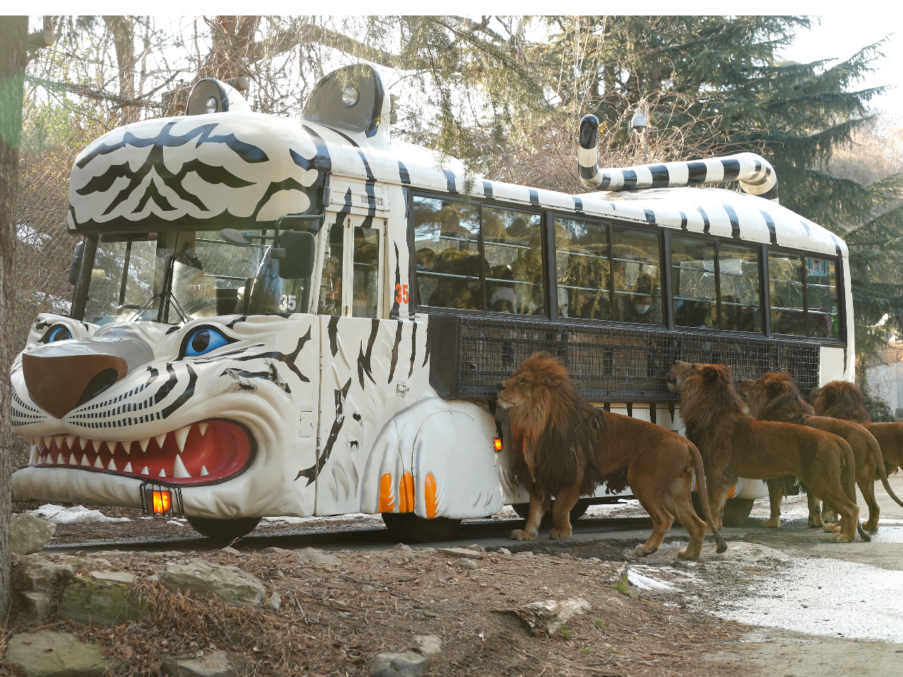 ��l�C�̃G�T�o�X�Ȃ炱��Ȃɋ߂��Ƀ��C�I�����I