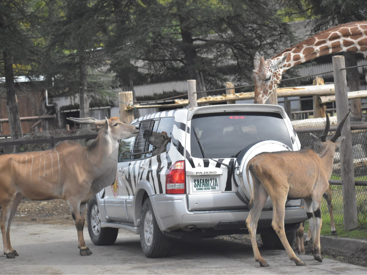 ���A�����Ȃ��E�E�E