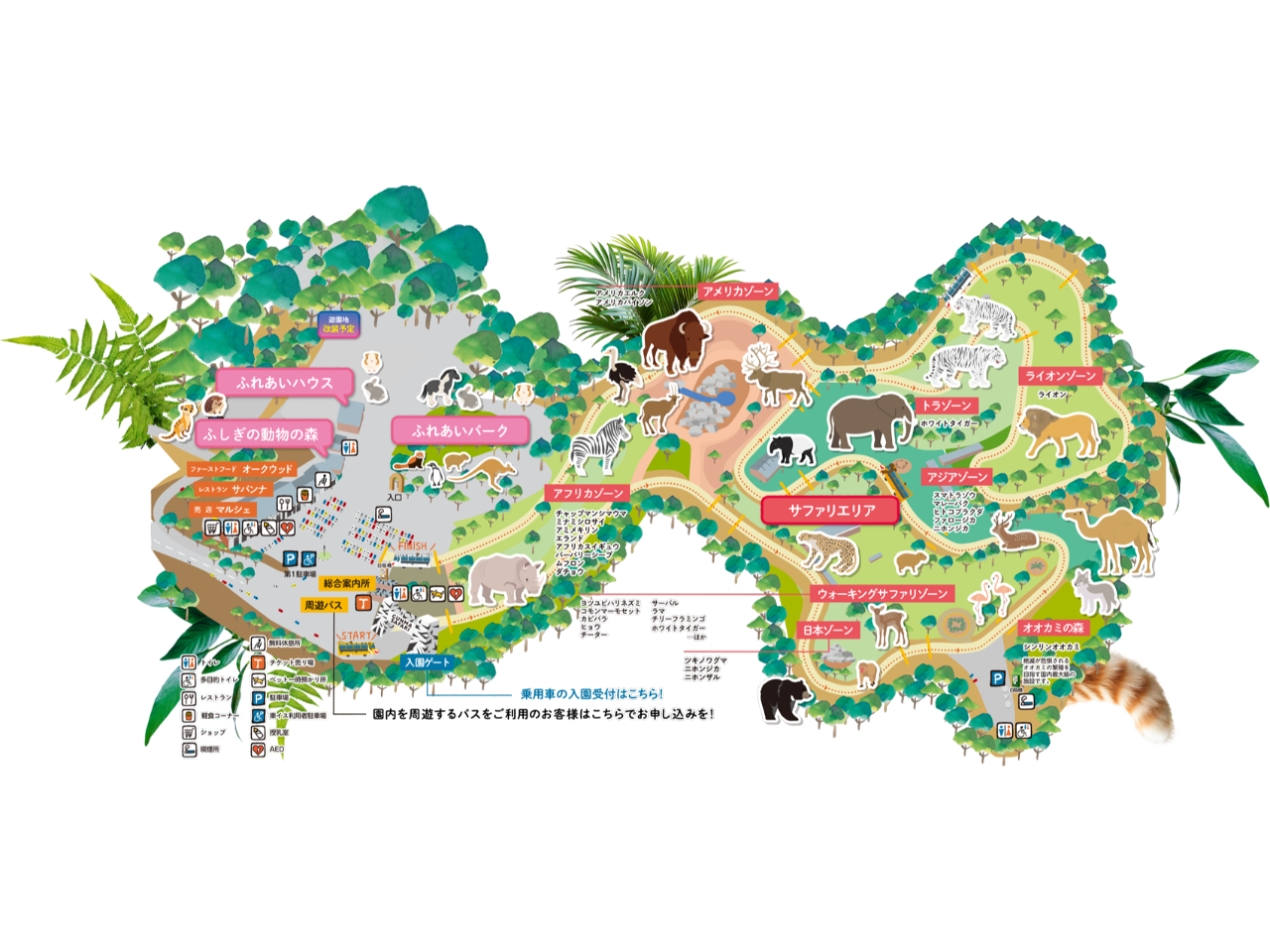 ����MAP