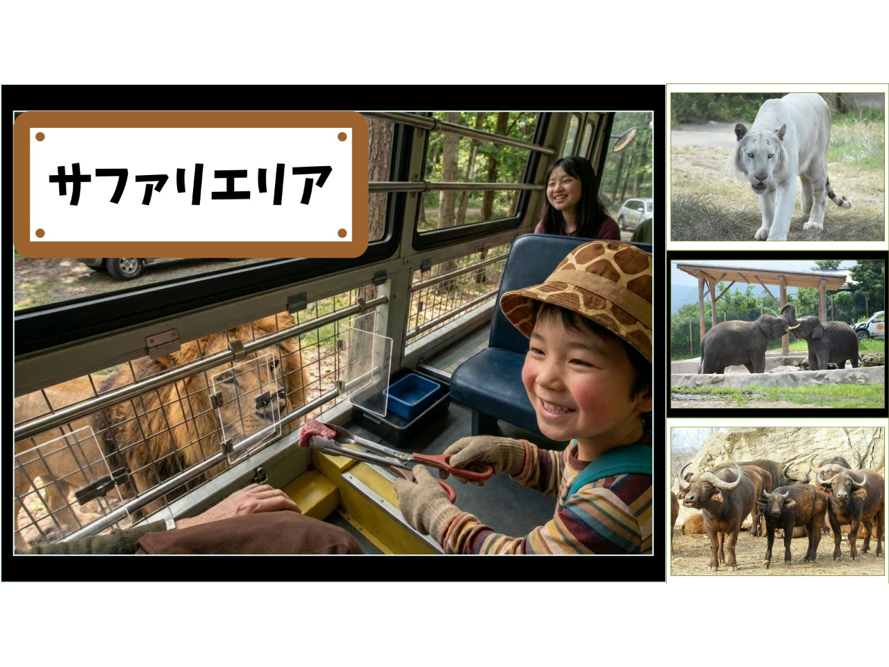 ��l���q�ǂ������N���N���~�܂�Ȃ��A�쐶�̐��E�֏o�����I�}�C�J�[����V�o�X�ł�������̓����������悤�I