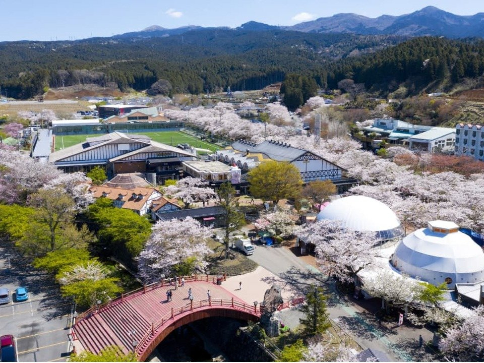 Vł̓C~l[VA炢ƎlG܁Xy߂܂yʐ^͏t̎ʐ^łz