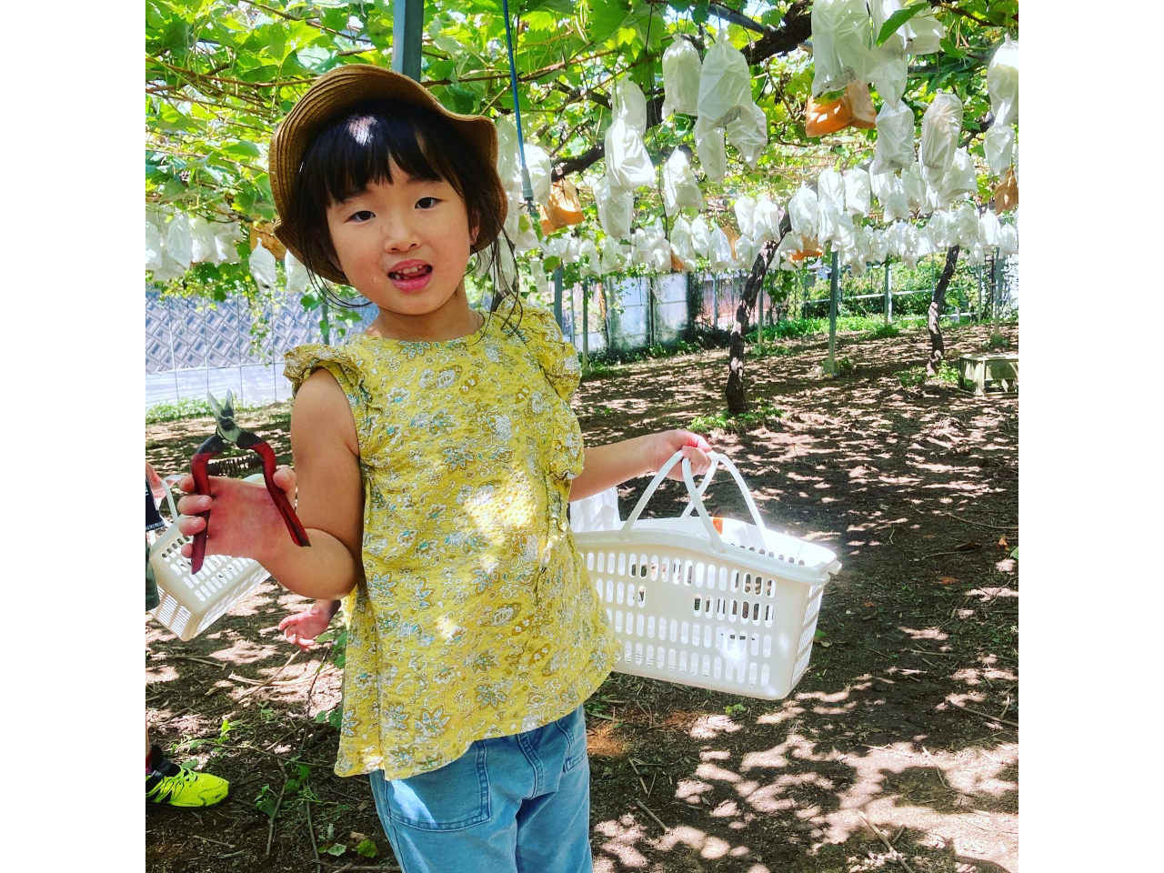 FRUITS GARDEN���F�̎ʐ^2