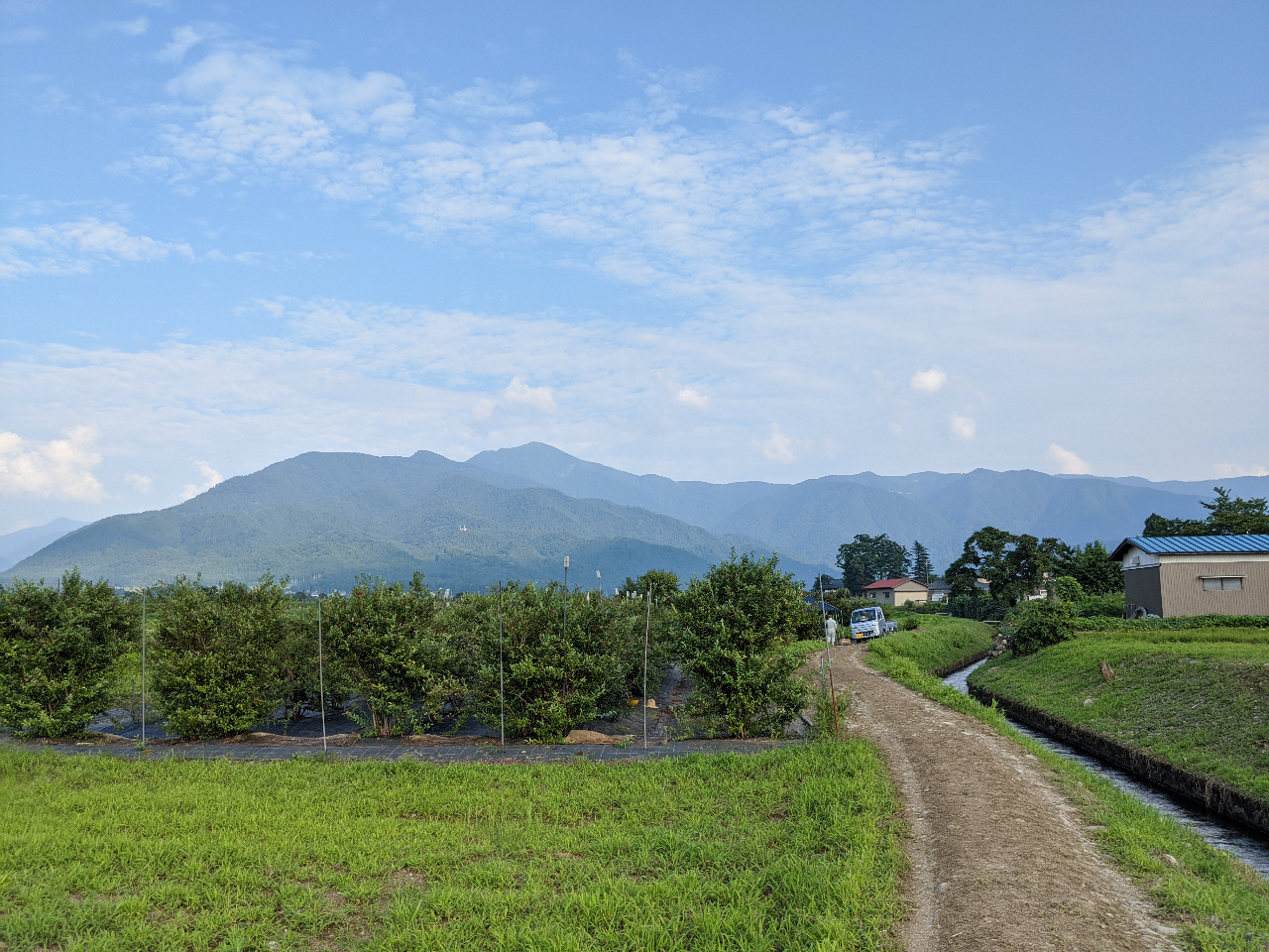 �u���[�x���[���̔w�i�u���{100���R�̍r���x�v