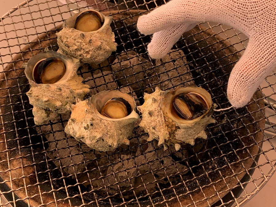 �������̂ڏĂ�