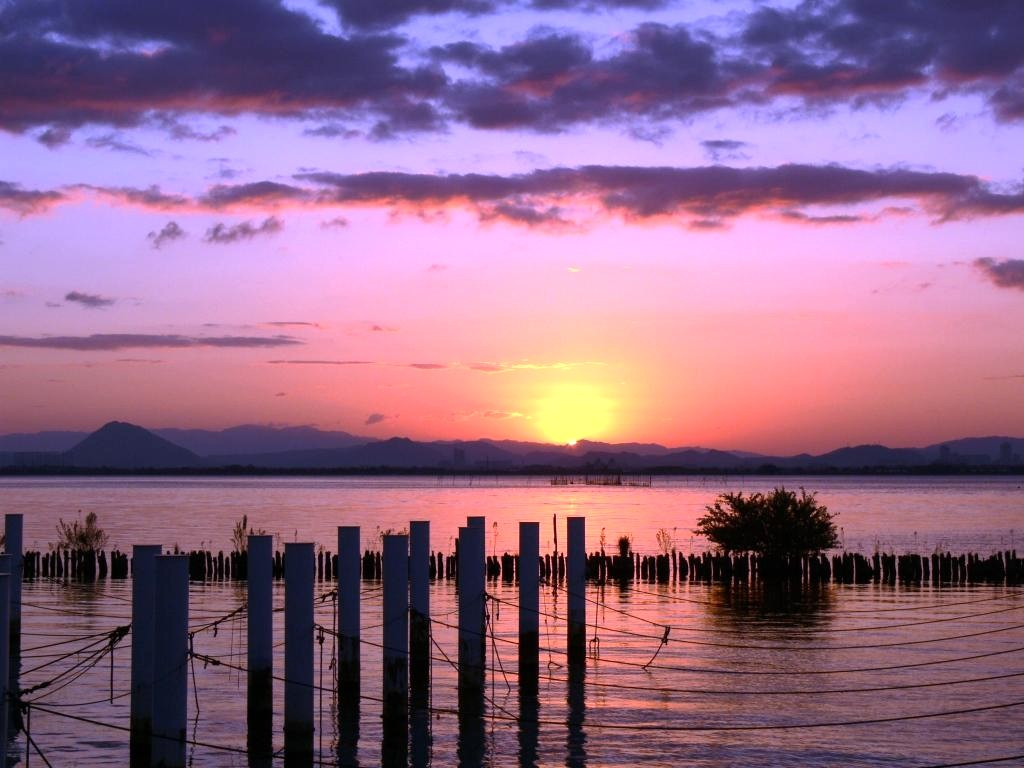 ���̏o�̕��i