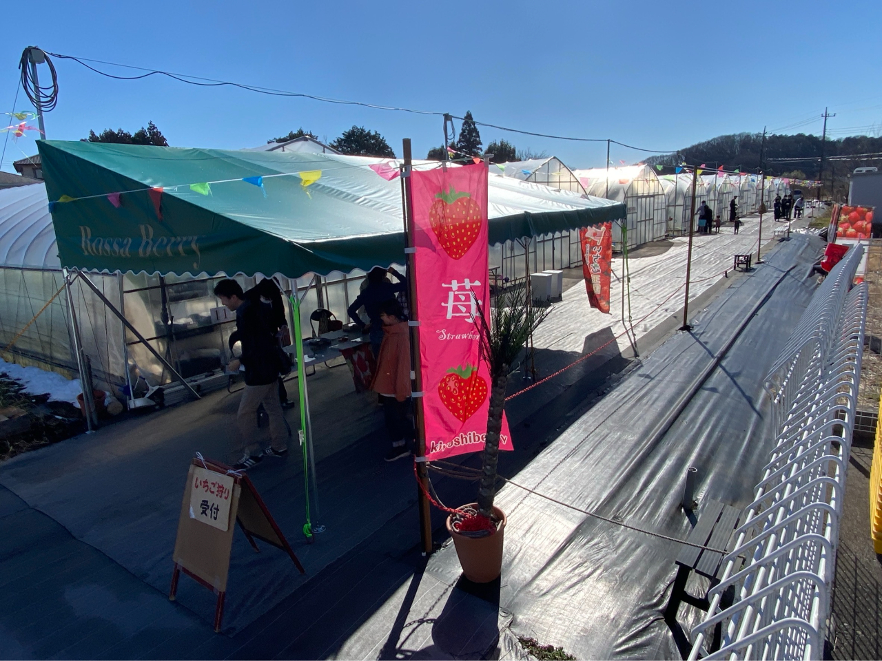 ���������@��t