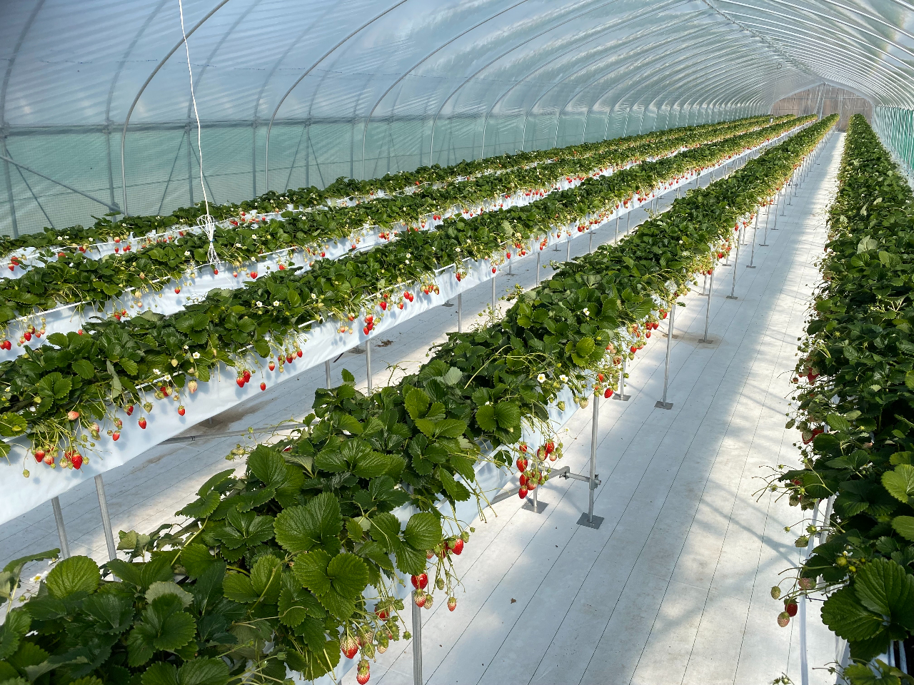 �n�E�X���Ƃɕi�킪�قȂ�܂�