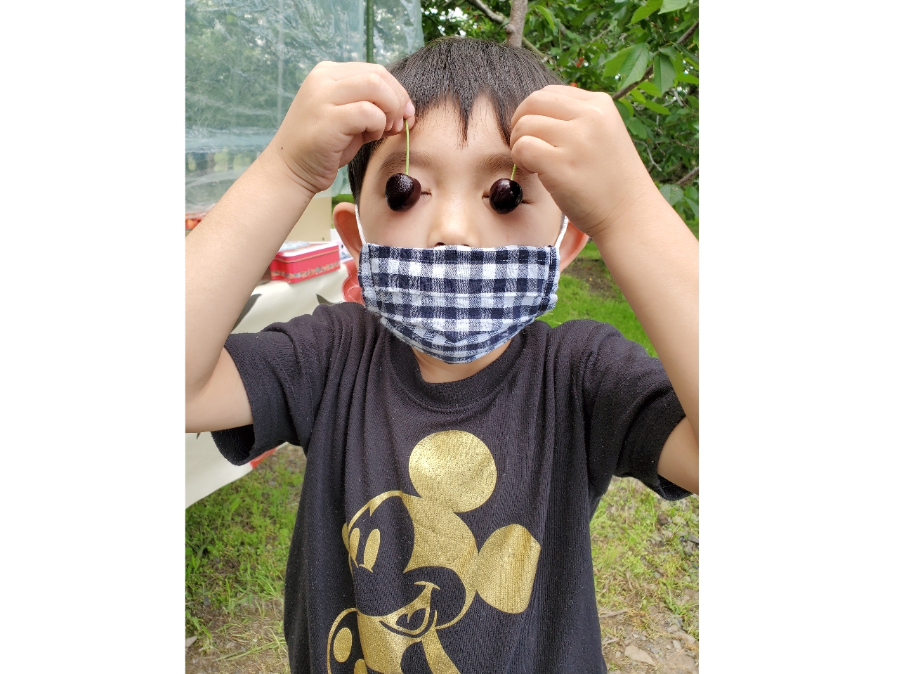 �g���₩��ڋʂɂ��Ă݂܂���