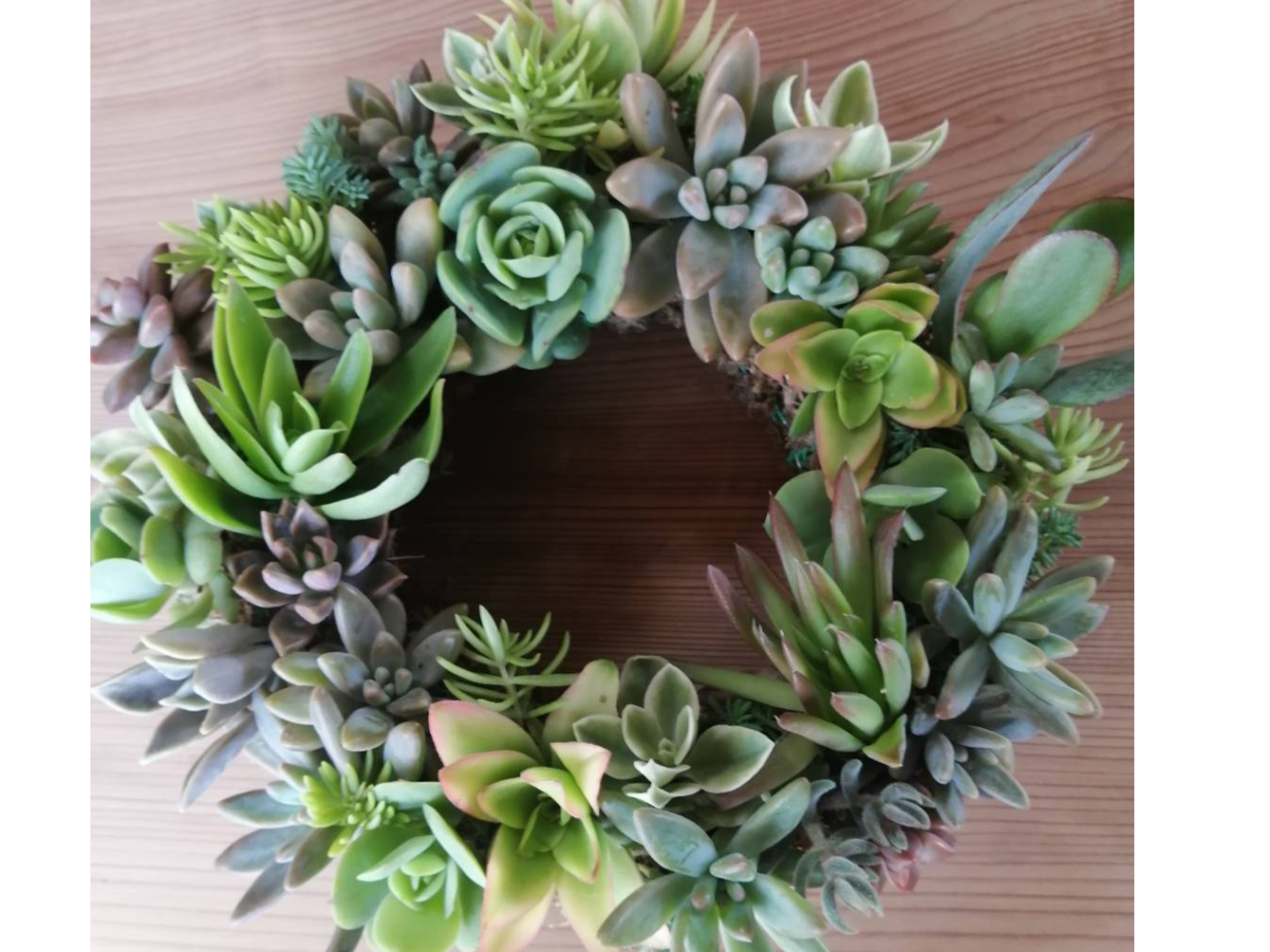 多肉植物の寄せ植え、リースの制作等もできますよ!!
