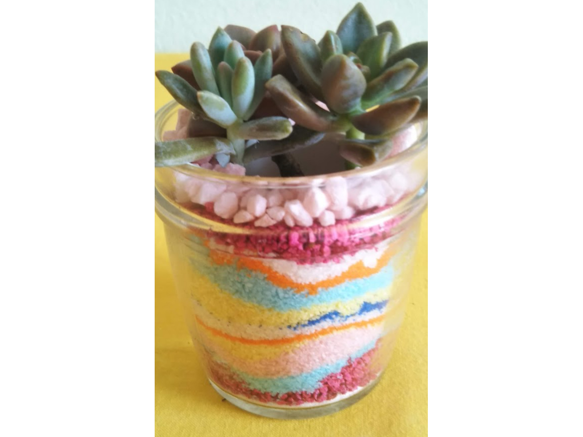 カラー安どの容器を作り、多肉植物をと寄せ植えなども作ります。
