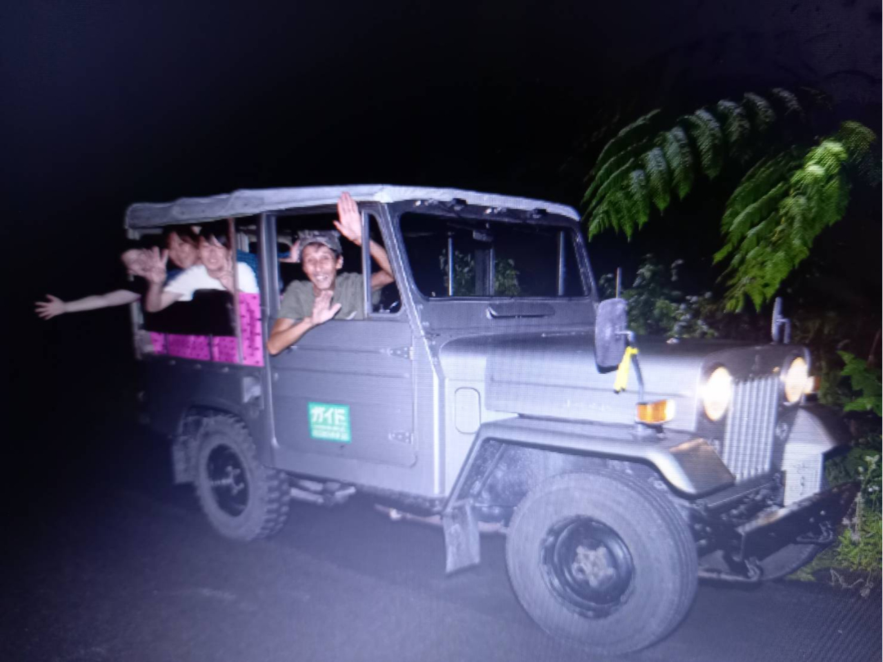 【地域クーポン対応】現地、現金支払いのみ。
憶病で貴重な夜の生き物達に会いに行こう!
太古の森には、世界で最も原始的なウサギ(アマミノクロウサギ)が生息しているよ!