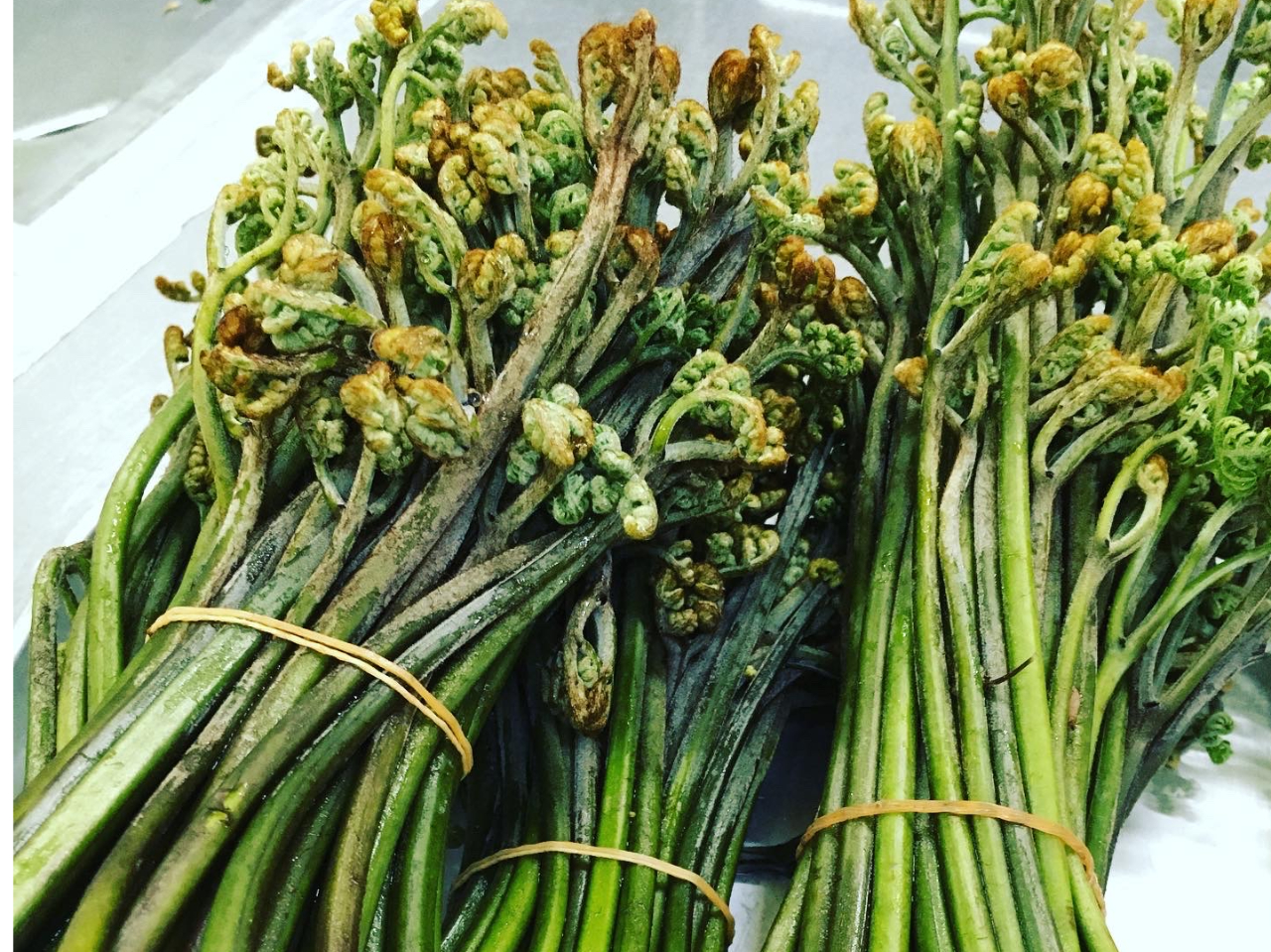 ���_�烏���r