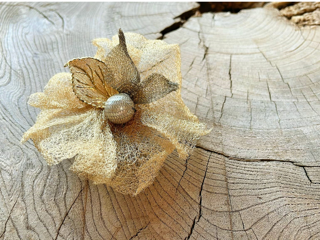 RT[W̐F͖WF炨Iђ܂B