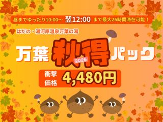 衝撃価格4,480円!最大26時間滞在可能!