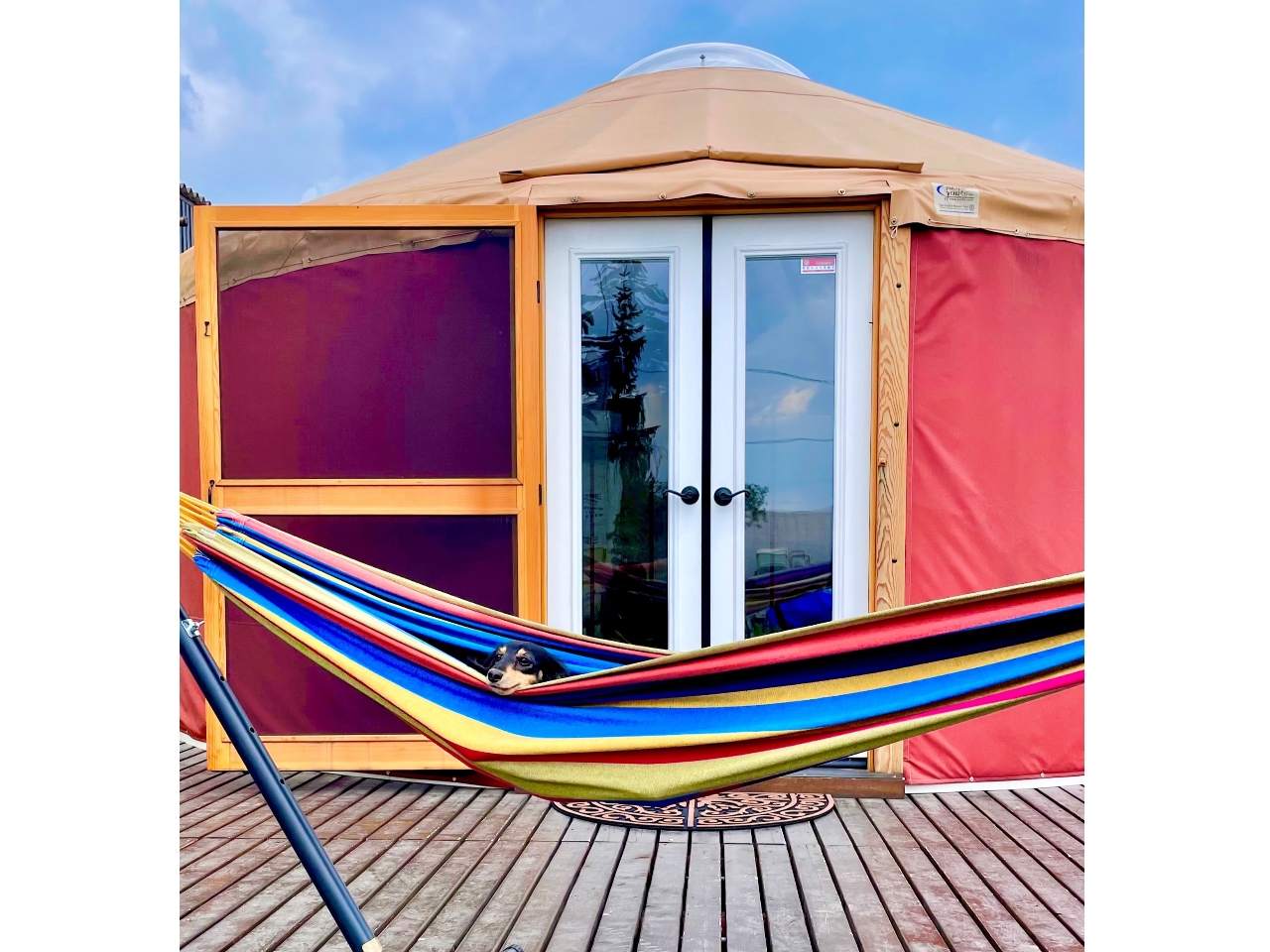 【一日一組限定 手ぶらでBBQ】グランピング施設貸し切りプラン♪【ドックランもご...