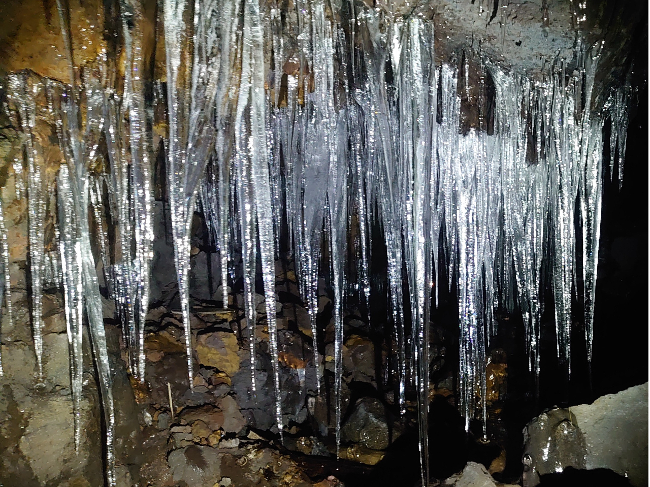 3A4łΑf炵X̐Ěł܂Aŋ߂ł͔NɂX̔B󋵂ɑ傫ȕϓXɂ܂Bg̉eł傤EEE