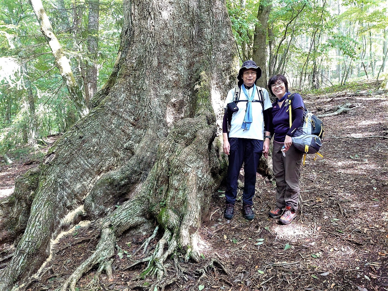 wVRLÓuxmRnсvł́A؃CƂ͑S̈قȂ閾邢ui~Yi̐Xr̊邱Ƃł܂B