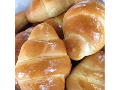 �{�i�I�ȃp�������܂��I