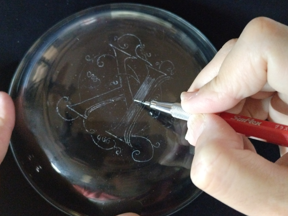 p̃_ChyŃKXɐ𒤂Ă܂B