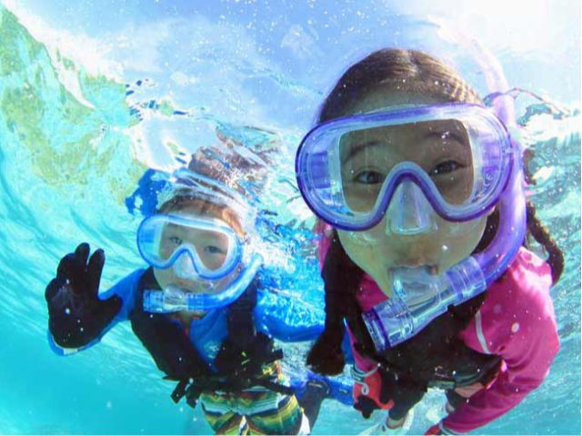 小田原 シューノケルガイドツアー クリスタルな根府川海岸の多彩な水中生物の宝庫を満喫 東京から1時間半 電車も便利 シーポイントダイビングスクール じゃらん遊び体験 小田原 シューノケルガイドツアー クリスタルな根府川海岸の多彩な水中生物の宝庫を満喫 東京から1時間半 電車も便利 シーポイントダイビングスクール じゃらん遊び体験