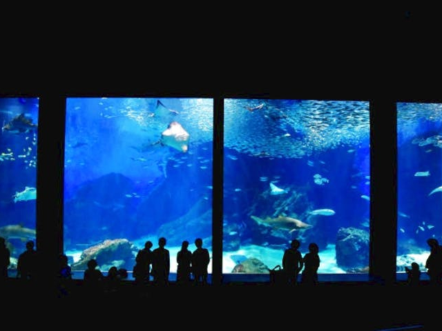 B암̉gȊCČA[7[g̊Om吅I