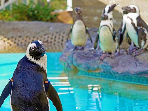 �_���}�������[���h�C�̒������^�ɂ͊y�����C�̒��Ԃ������ς���