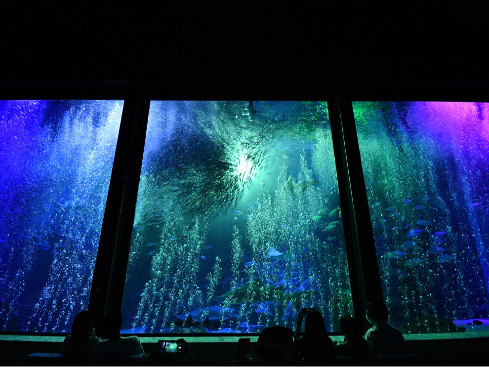 ��̂�����������@���ƌ��̃C���V�V���[