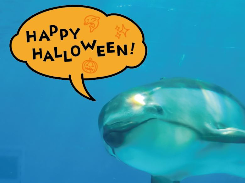 ★お日にち限定★ハロウィンナイト～21時まで営業～【入館チケット】【福岡市】【福...