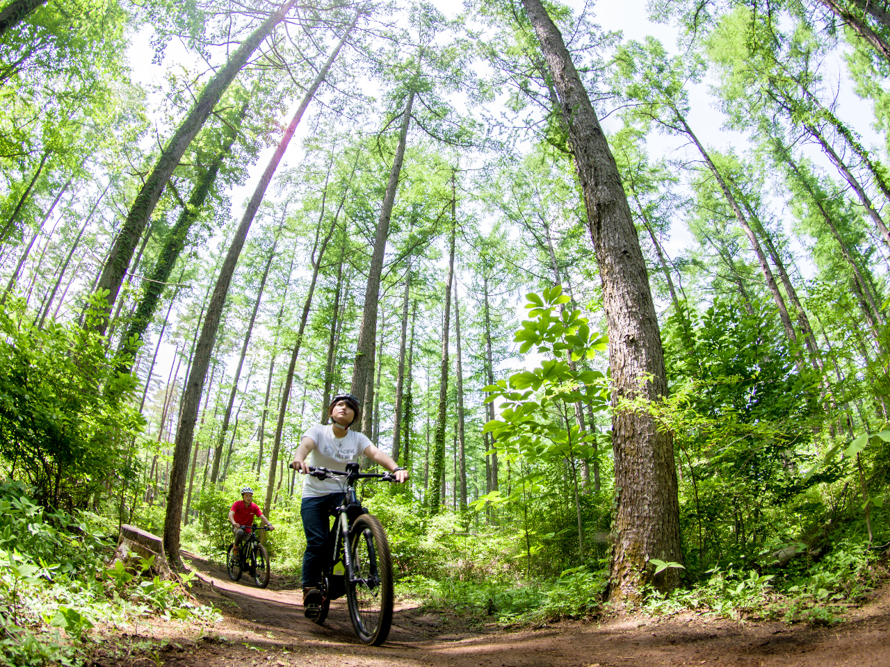 ΖLŁAƂĂC̗ǂX̒ŁASĝbNXȂTCNOy߂܂IiFʐ^͎ۂ̃R[XłIj