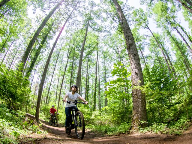緑豊かで、とても気持ちの良い森の中で、心も身体もリラックスしながらサイクリングが楽しめます!(注:写真は実際のコースです!)