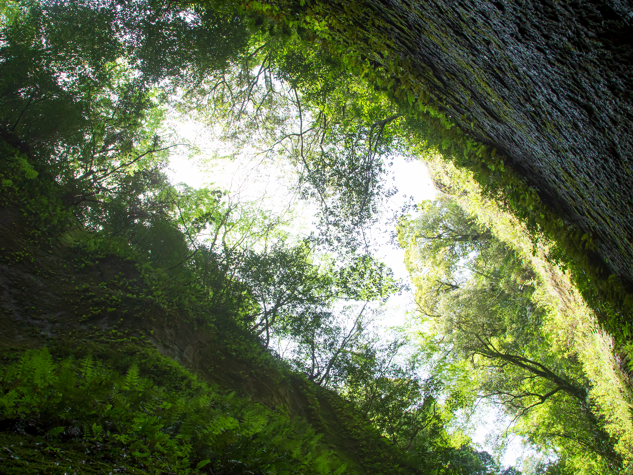 Rz심J̉֌ƁA2[gɂȂ̊Ԃiޔ鋫X|bgցIɂ͌˂āAFƔ΂ɌɌzIȌiF邱Ƃo܂