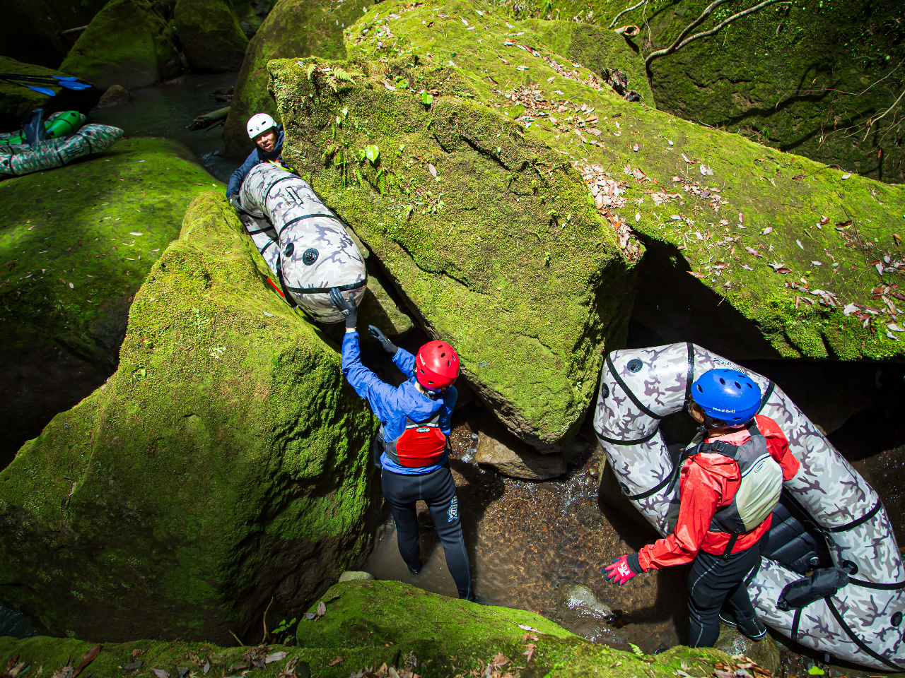 傫Ȋ₪dȂ|CgBQґSŋ͂A{[gĐi݂܂B