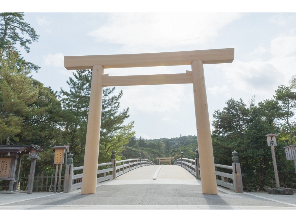 ɐ_{E{čc̐_ƋȂc_ƂĐhW߂VƑ_J肷c_{B